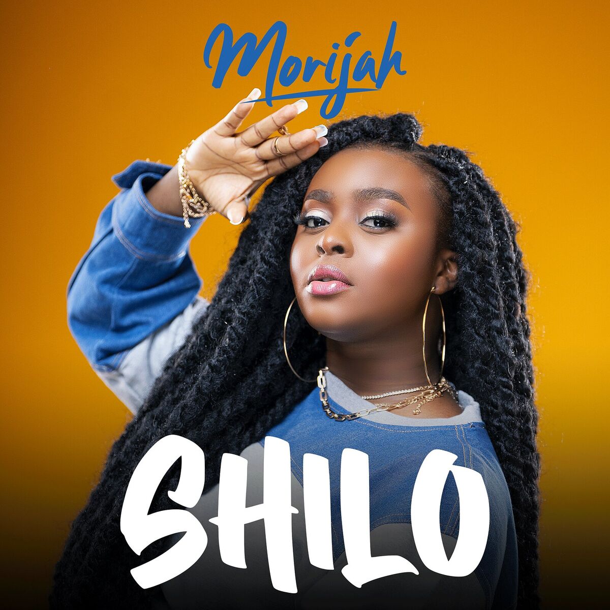 Album cover of Shilo