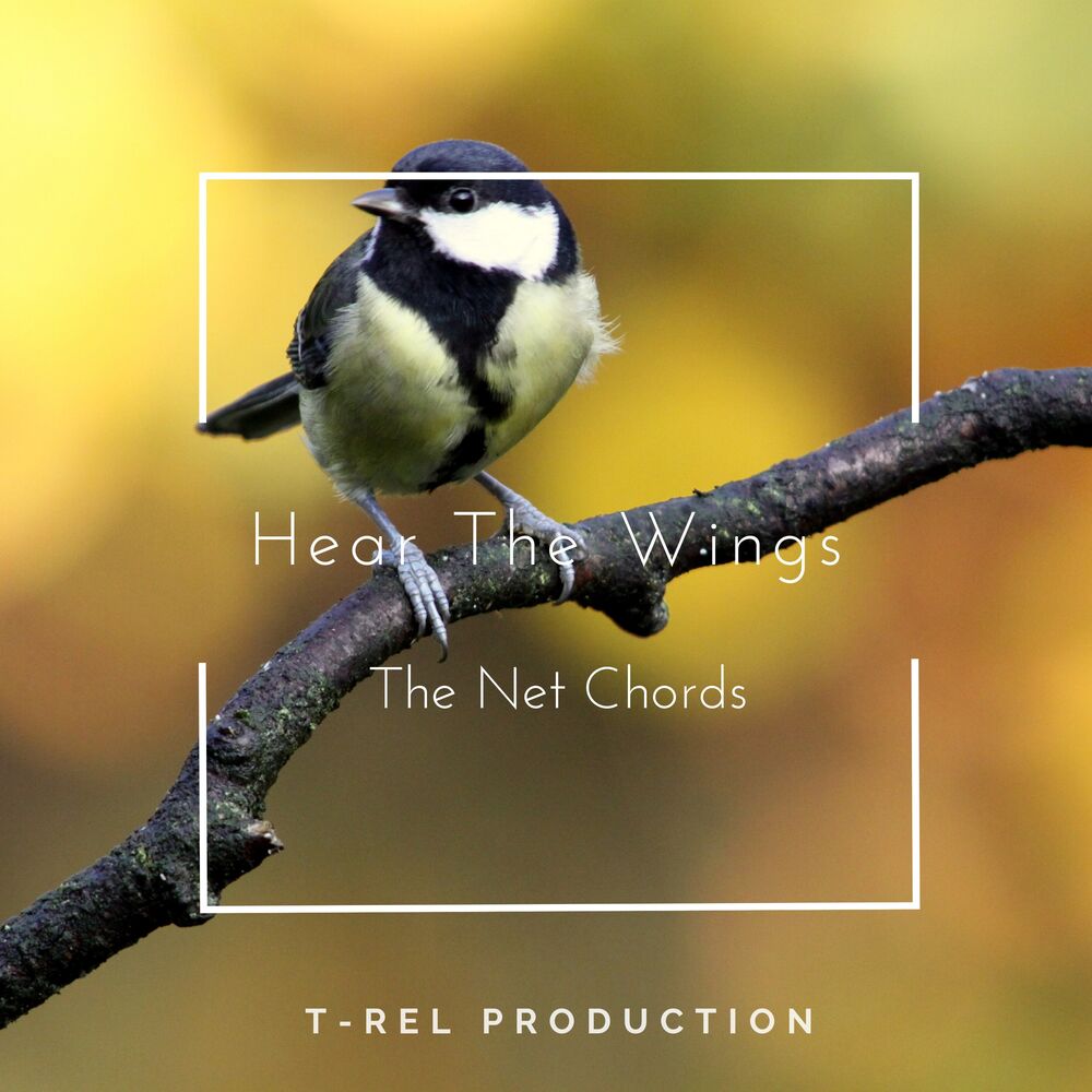 Picture of Hear The Wings