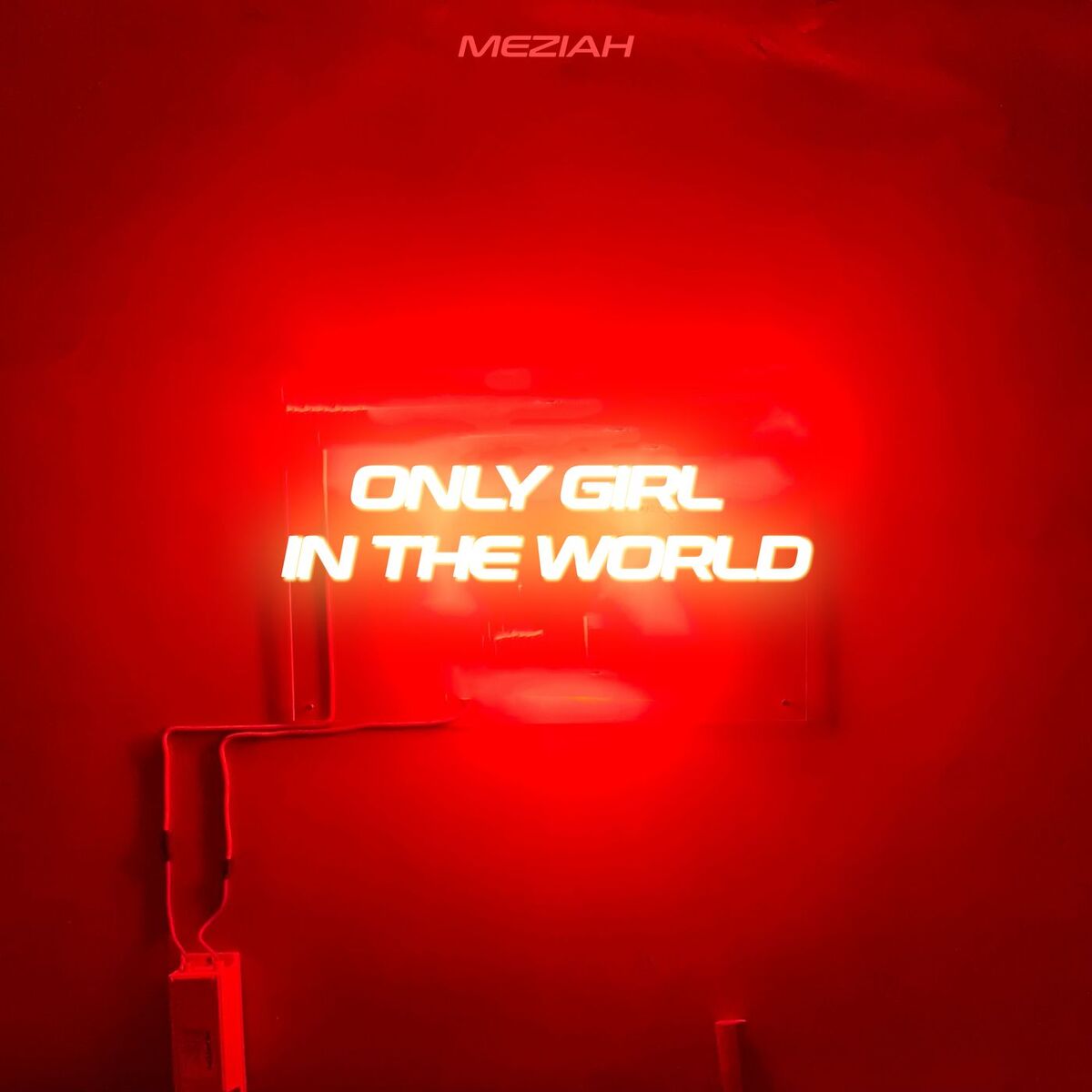 Album cover of ONLY GIRL (IN THE WORLD)