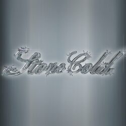 Cover of Stone Cold