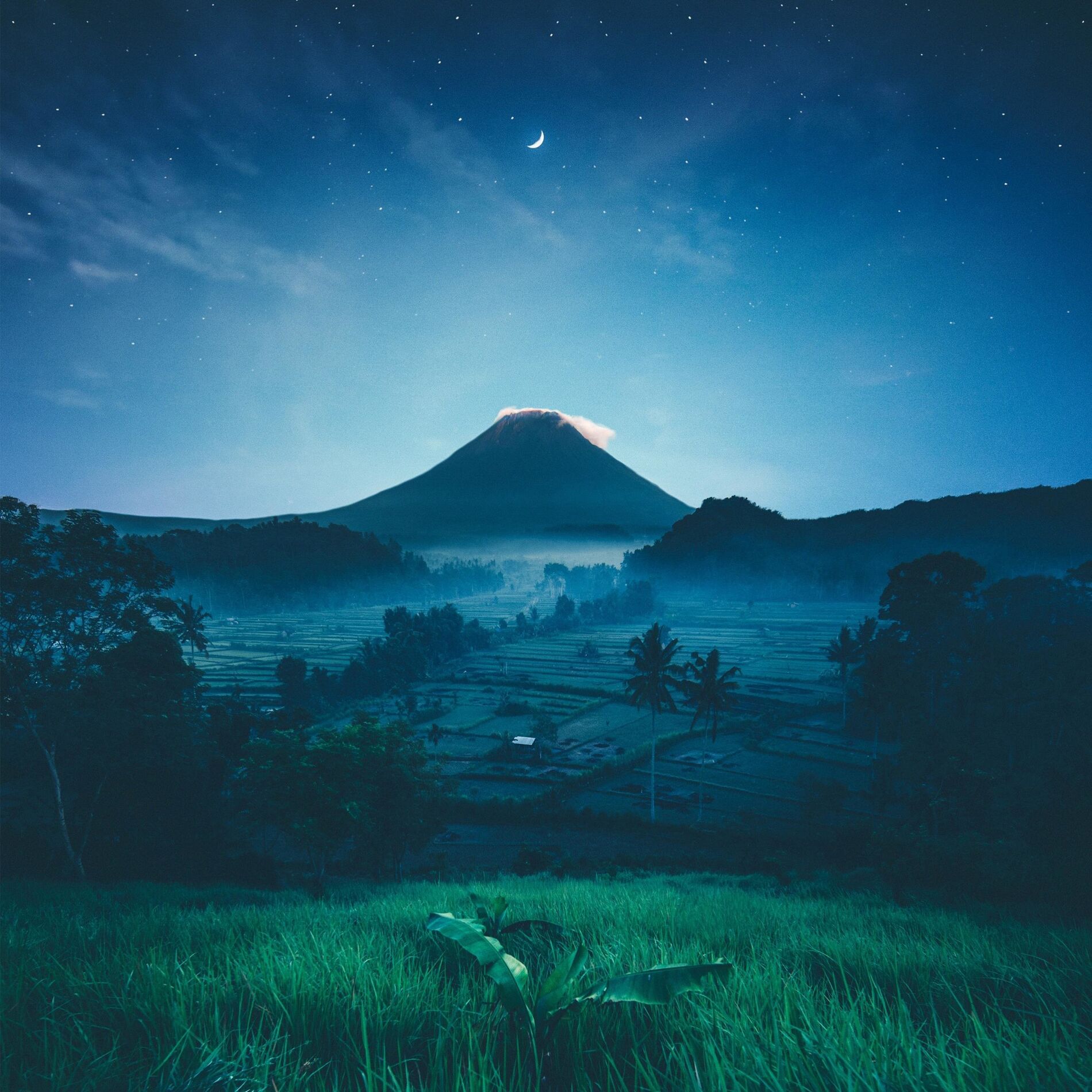 Album cover of Distant