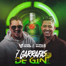 Cover of 7 Garrafas de Gin