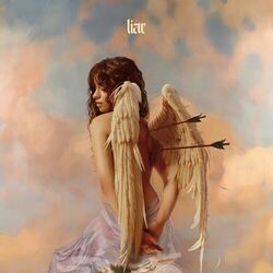 Cover of Liar