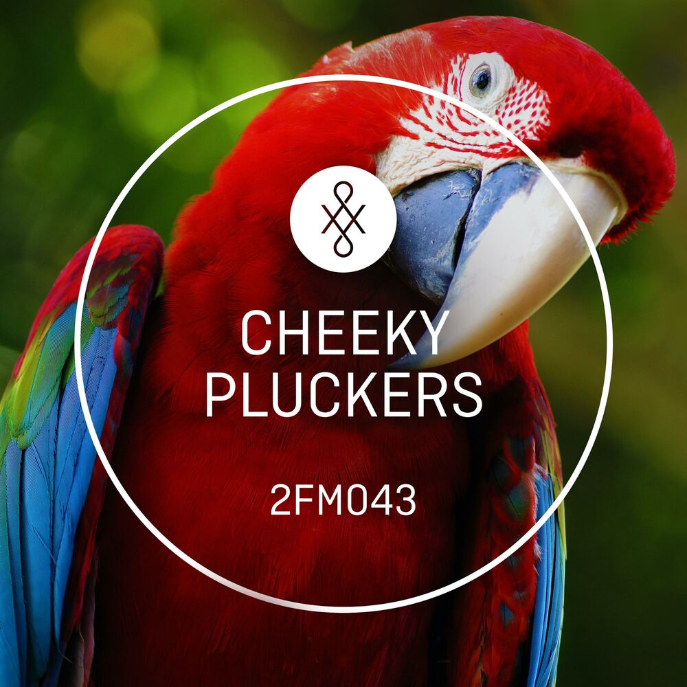 Picture of 2FM043 Cheeky Pluckers
