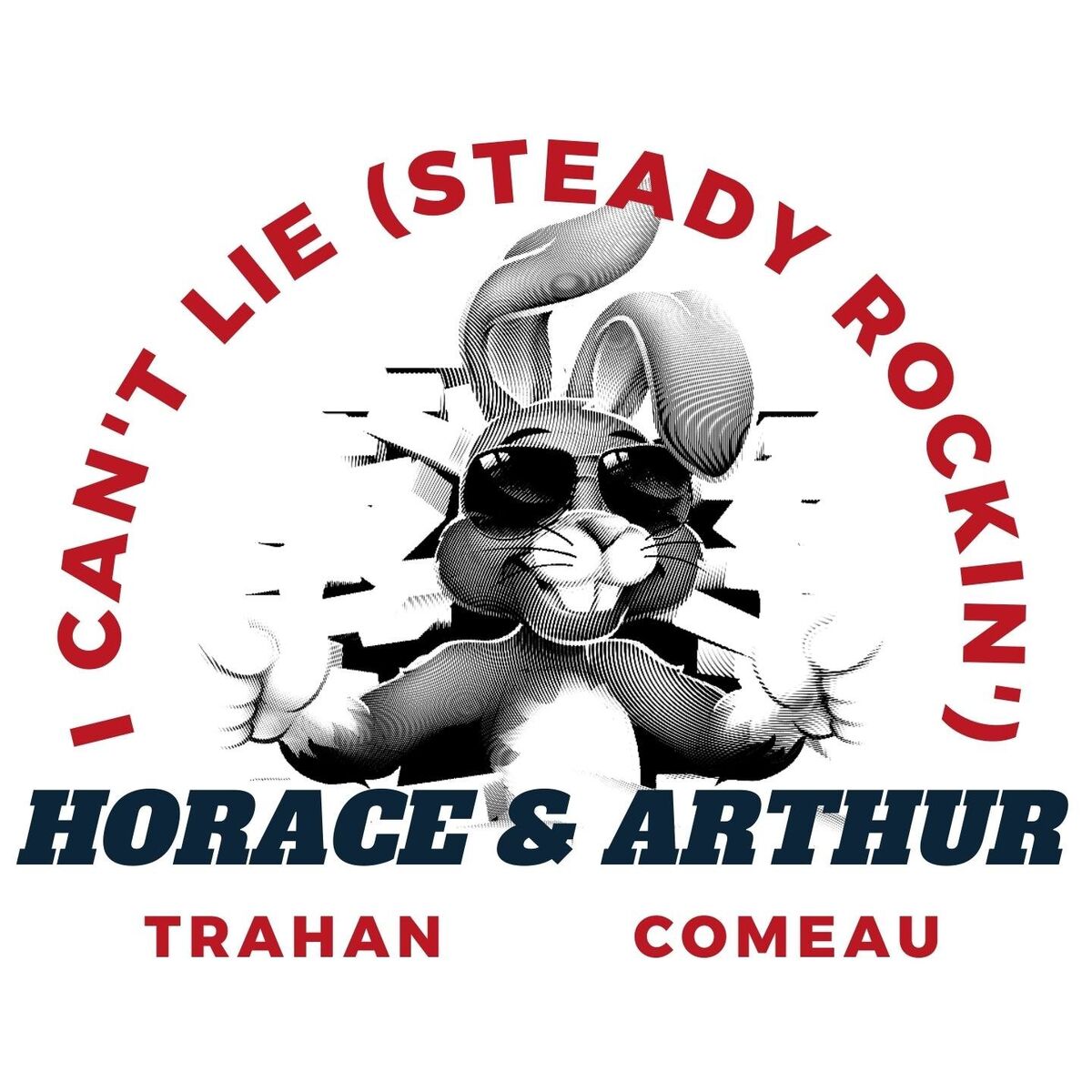 Album cover of I Can't Lie (Steady Rockin)