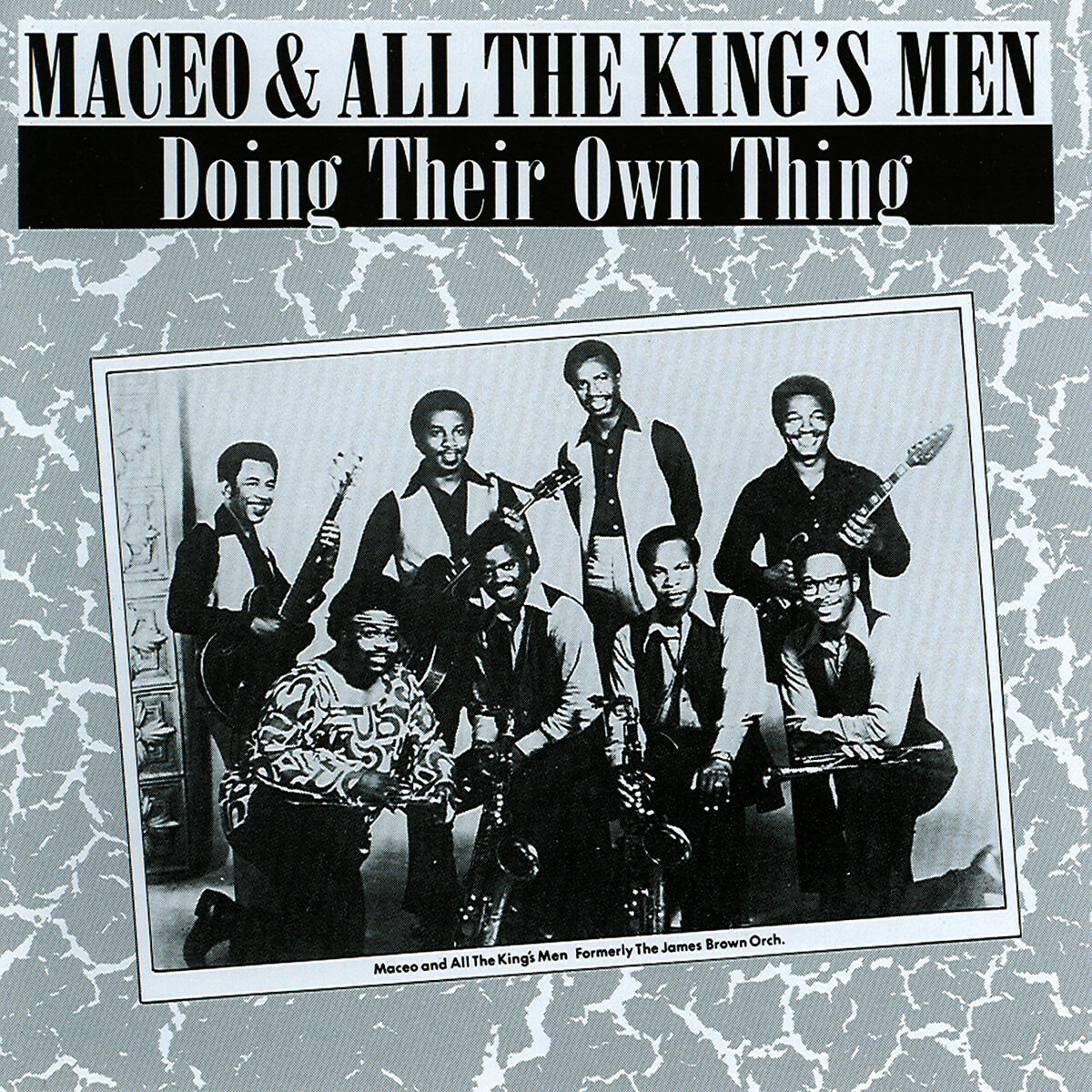 Album cover of Doing Their Own Thing