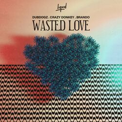 Cover of Wasted Love (The Remixes)