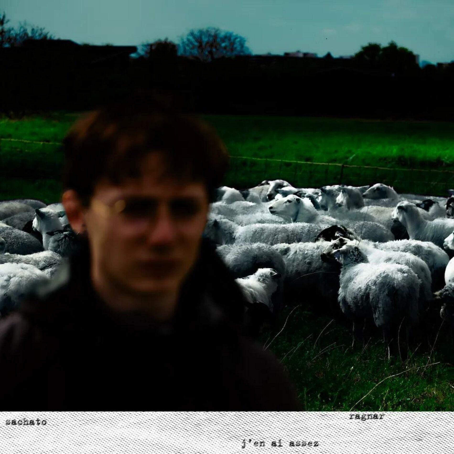 Album cover of j'en ai assez