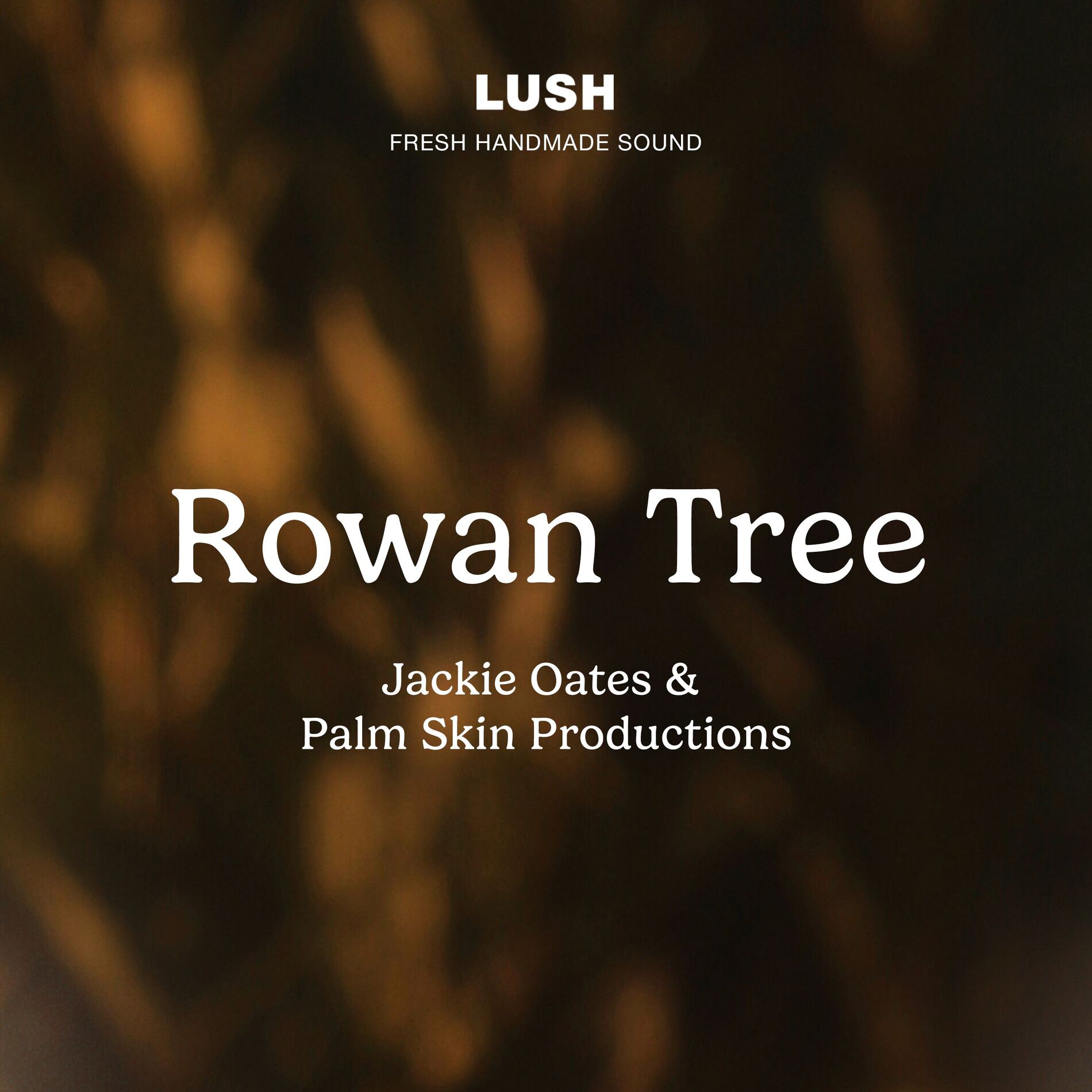Album cover of Rowan Tree