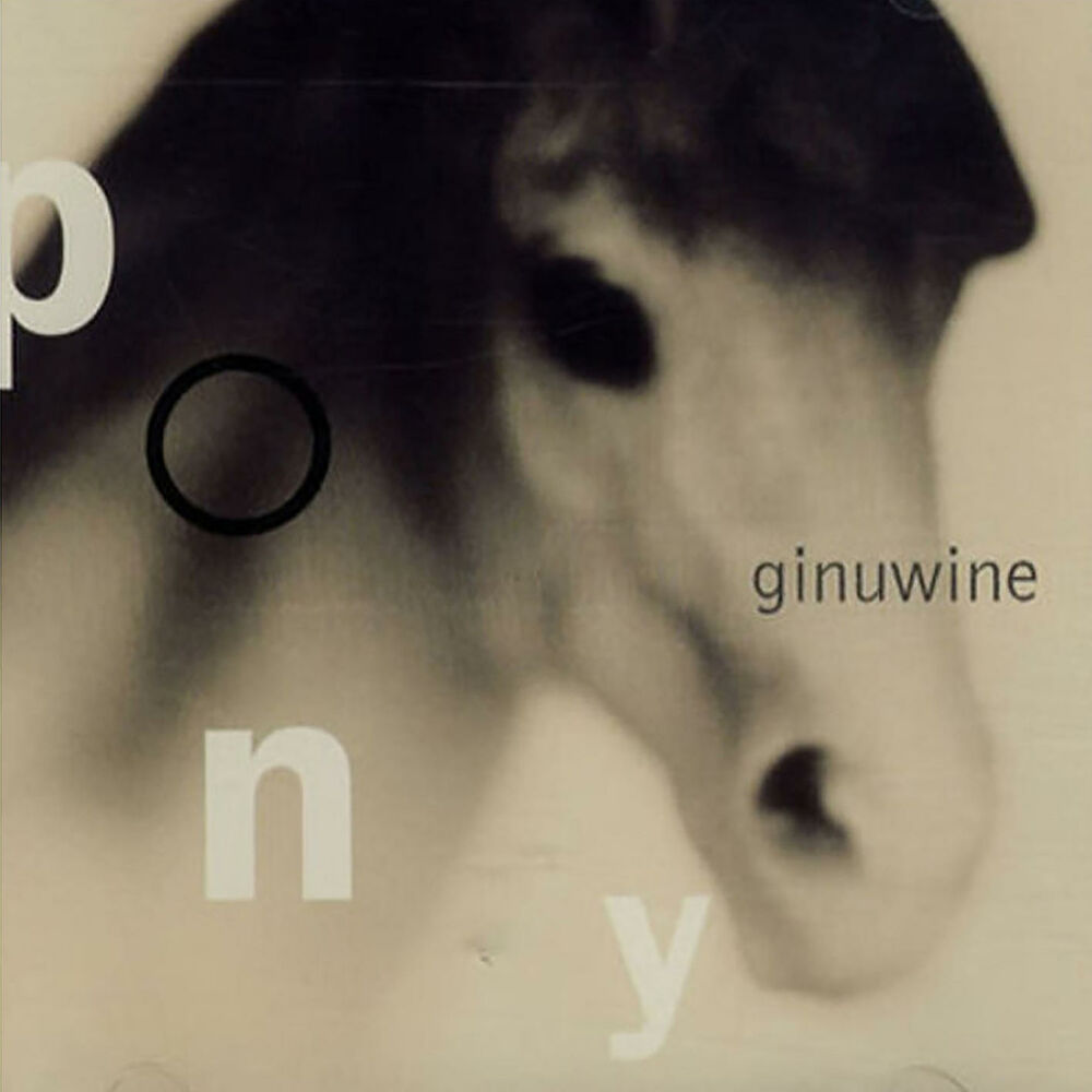 Picture of Pony