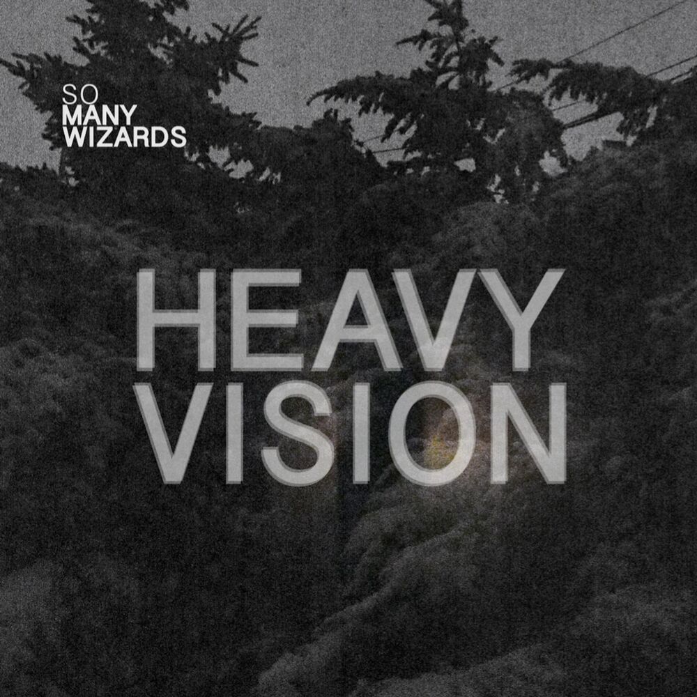 Picture of Heavy Vision