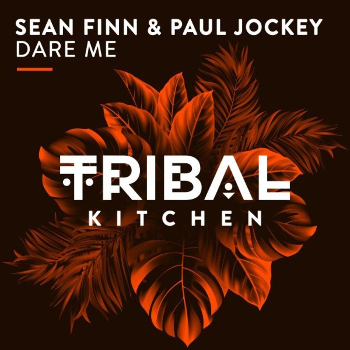 Album cover of Dare Me