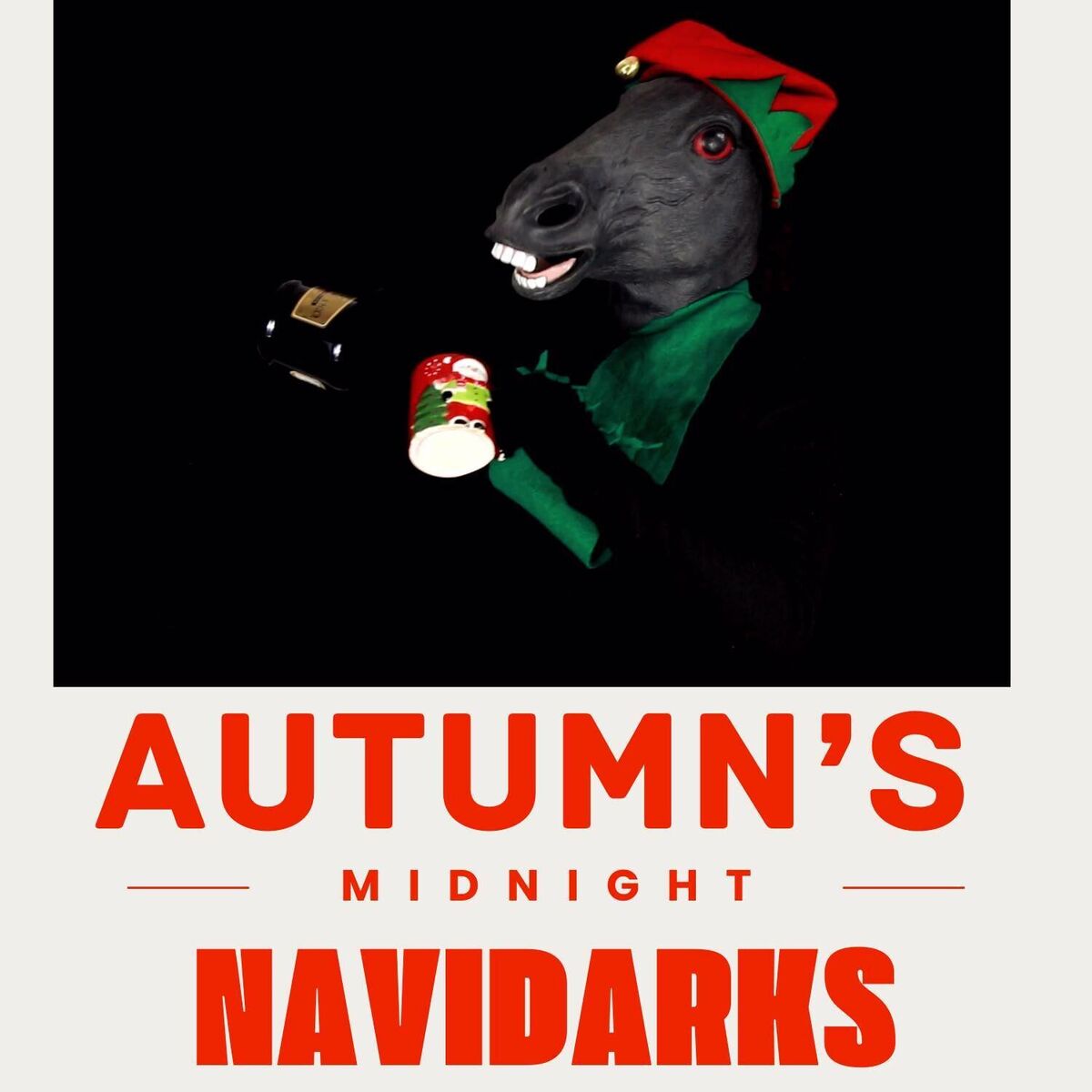 Album cover of Navidarks