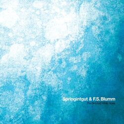 Cover of The Bird and White Noise