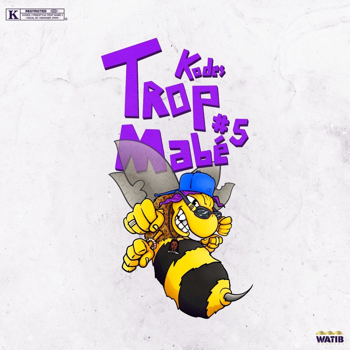 Album cover of Trop mabé 5