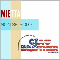 Cover of Non sei solo
