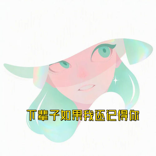 下辈子如果我还记得你