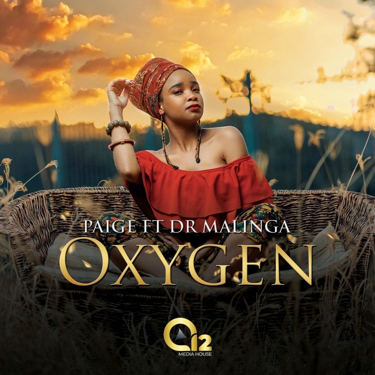 Album cover of Oxygen (feat. Dr Malinga)