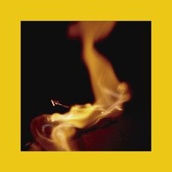 Cover of Fuego