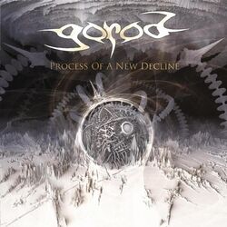 Cover of Process Of A New Decline