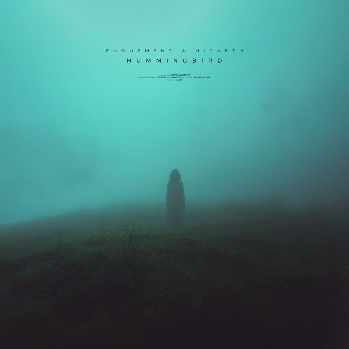 Album cover of hummingbird