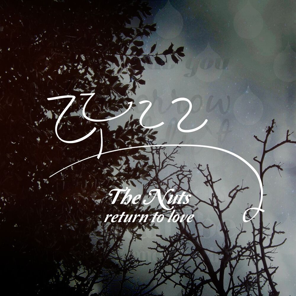 Picture of Return To Love