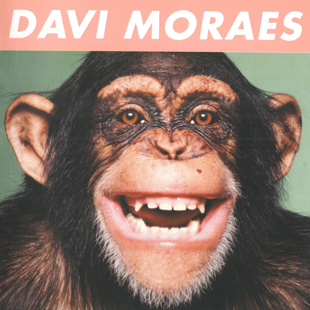 Picture of Papo Macaco