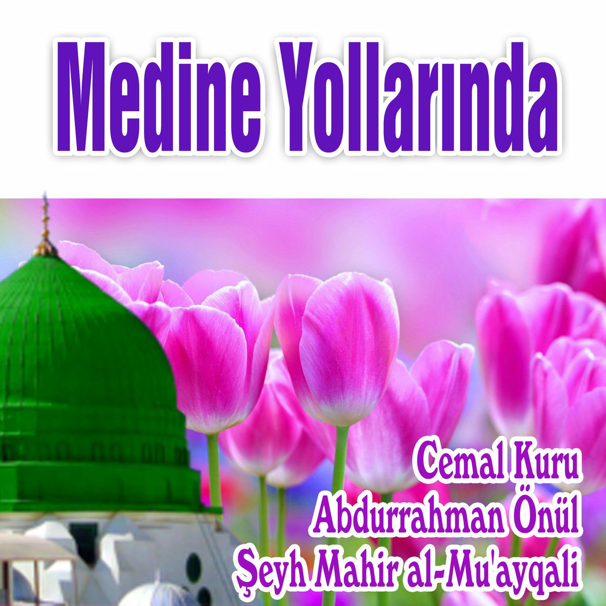 Album cover of Medine Yollarında