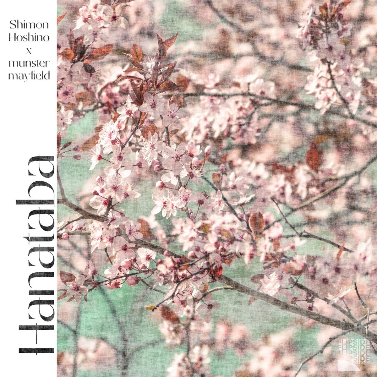 Album cover of Hanataba