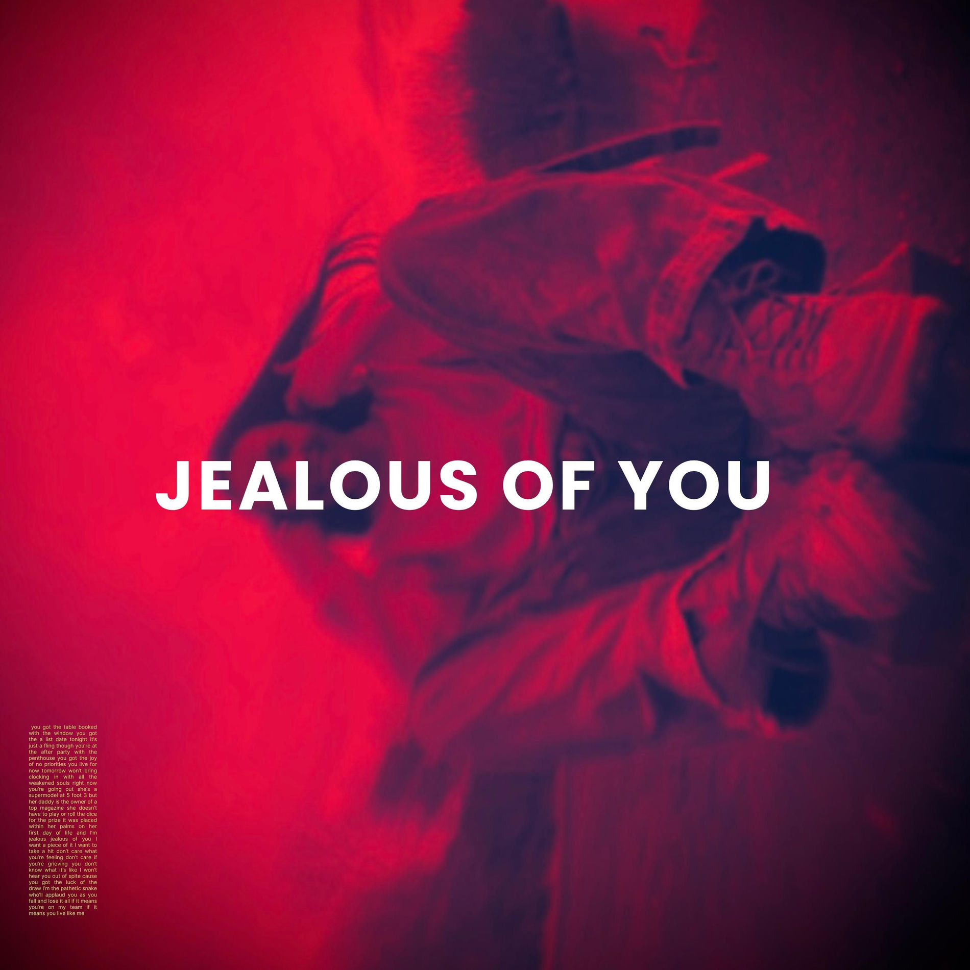 Album cover of JEALOUS OF YOU