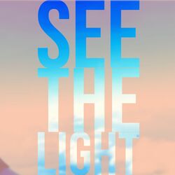 Cover of See The Light