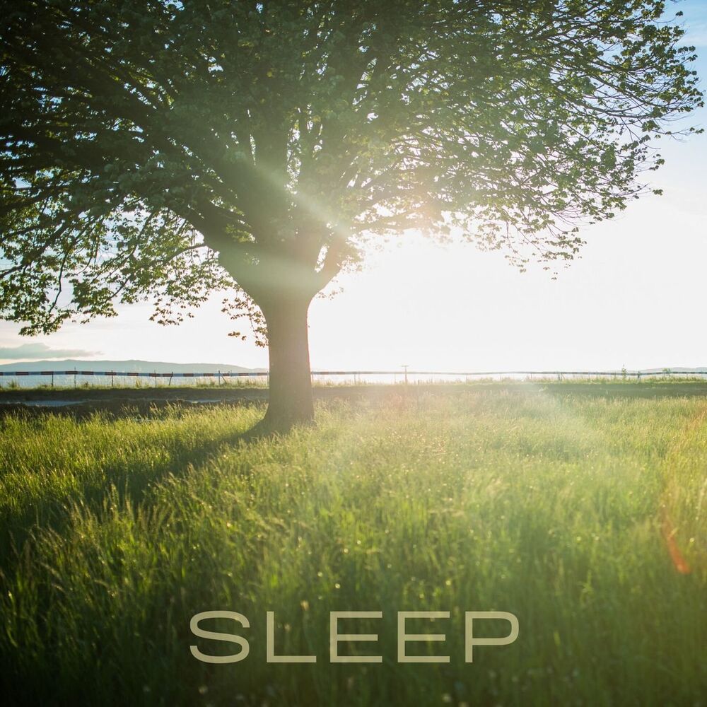 Picture of Sleep