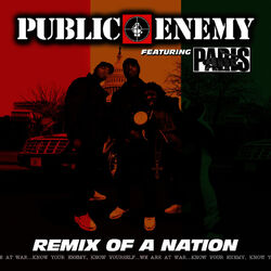 Cover of Remix of a Nation