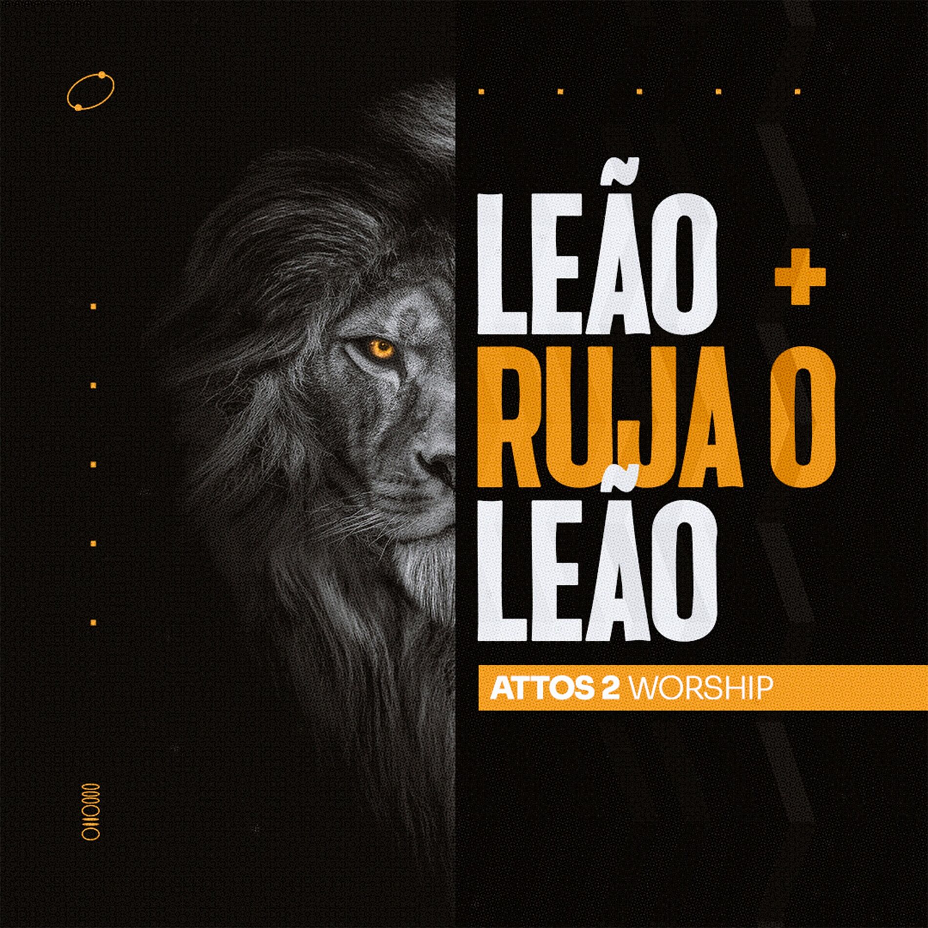 Album cover of Leão + Ruja o Leão