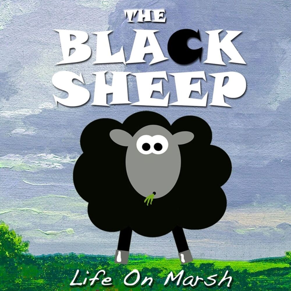 Picture of Life On Marsh