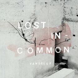 Cover of Lost in Common