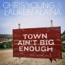 Cover of Town Ain't Big Enough