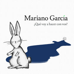 Cover of ¿Qué voy a hacer con vos?