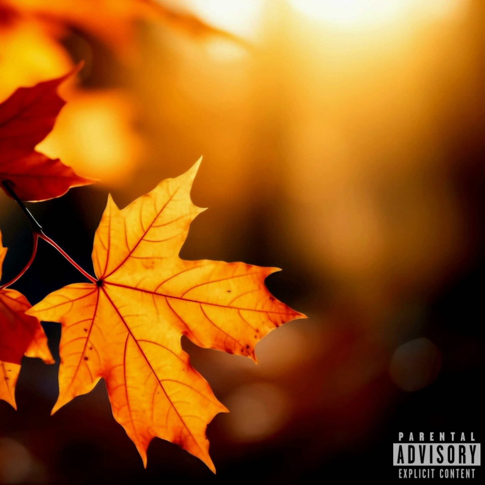 Album cover of 4 SAISONS : L'automne