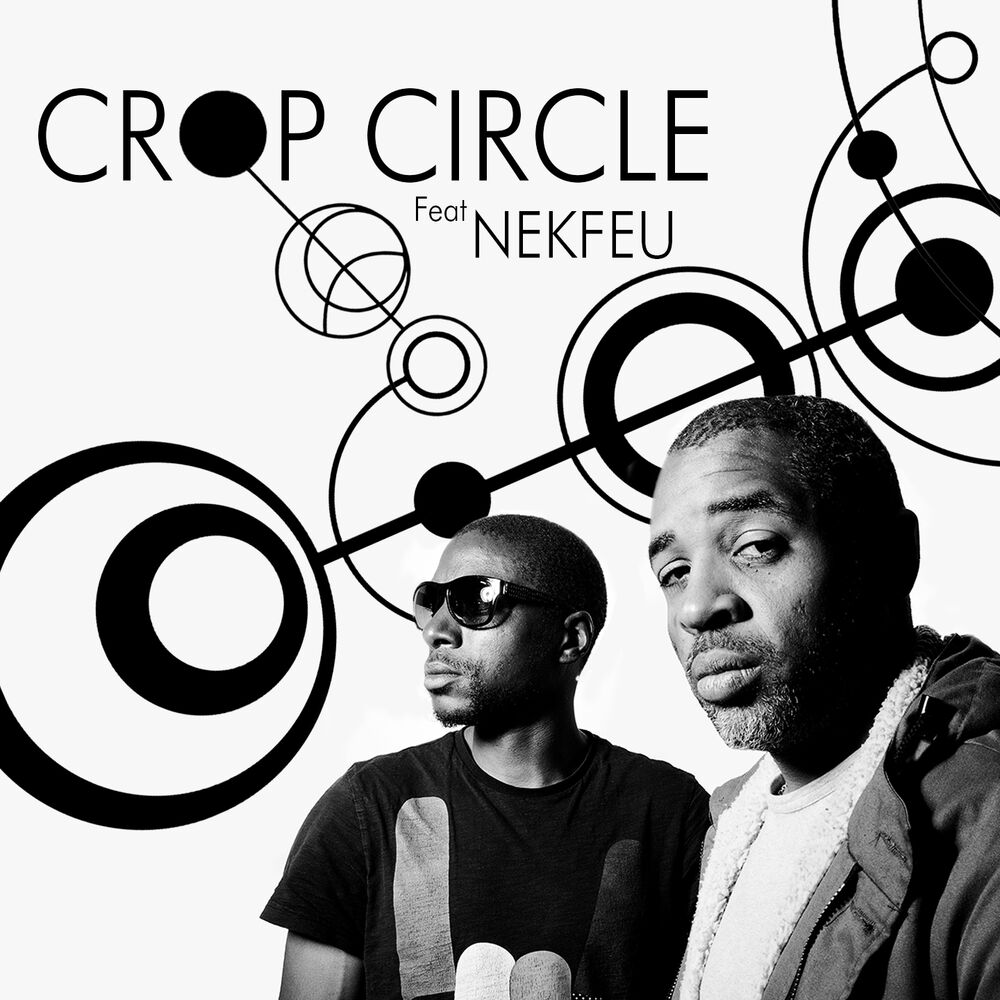 Picture of Crop Circle