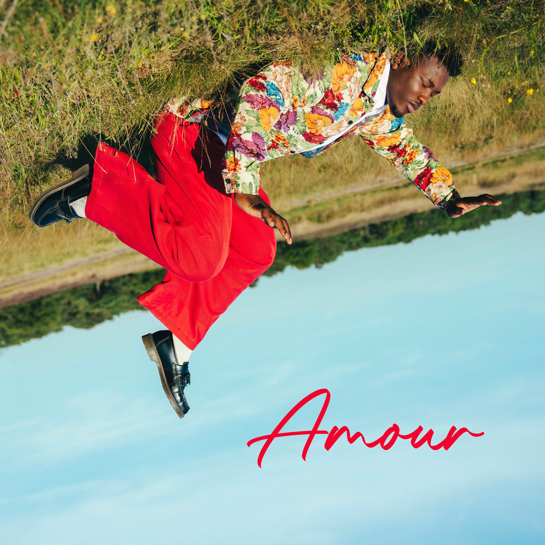 Album cover of Amour