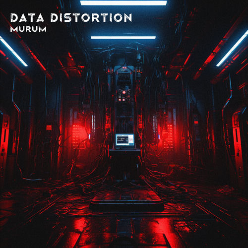 Data Distortion