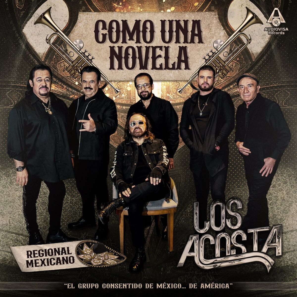 Album picture of Como una Novela (Versión Mariachi)