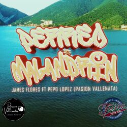 Cover of PERREO MALANDRIN Pepo Lopez y El James -Pasion Vallenata-