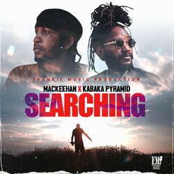 Cover of Searching