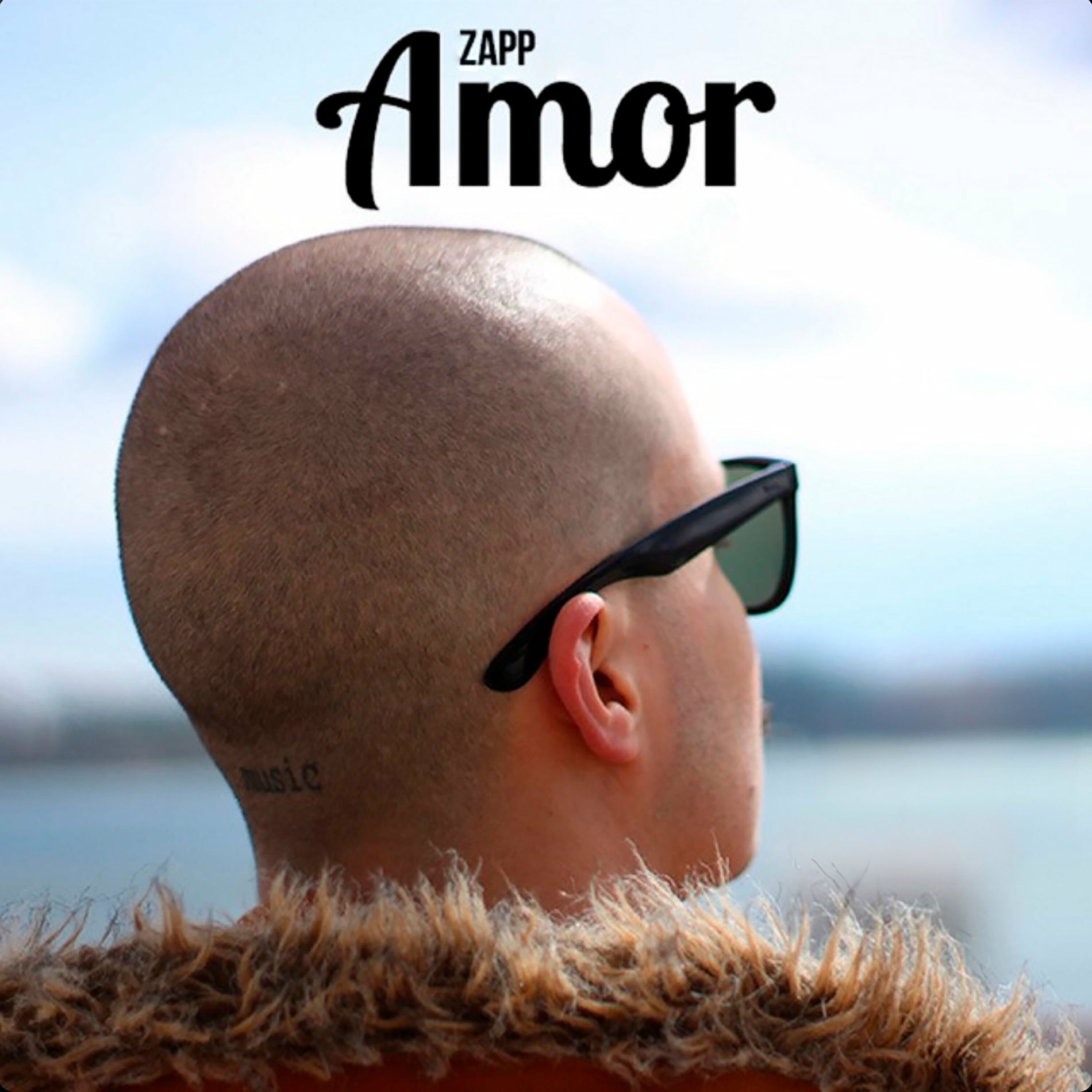 Album cover of Amor