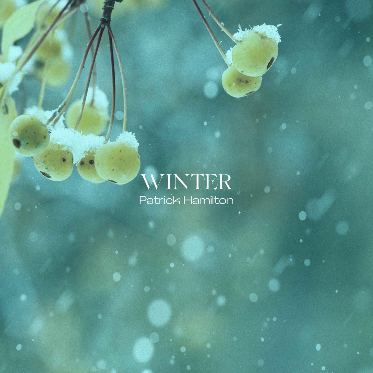 Album cover of Winter: II. Largo