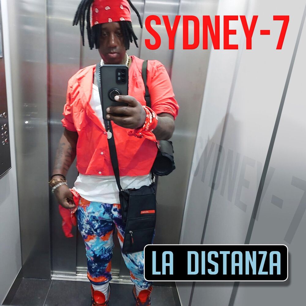 Picture of La distanza