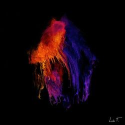 Cover of Fury