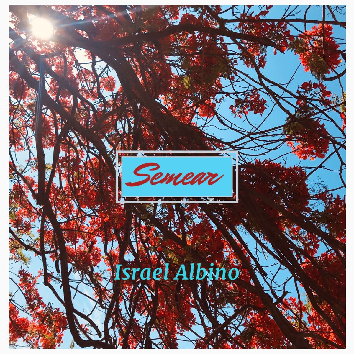 Album cover of Semear